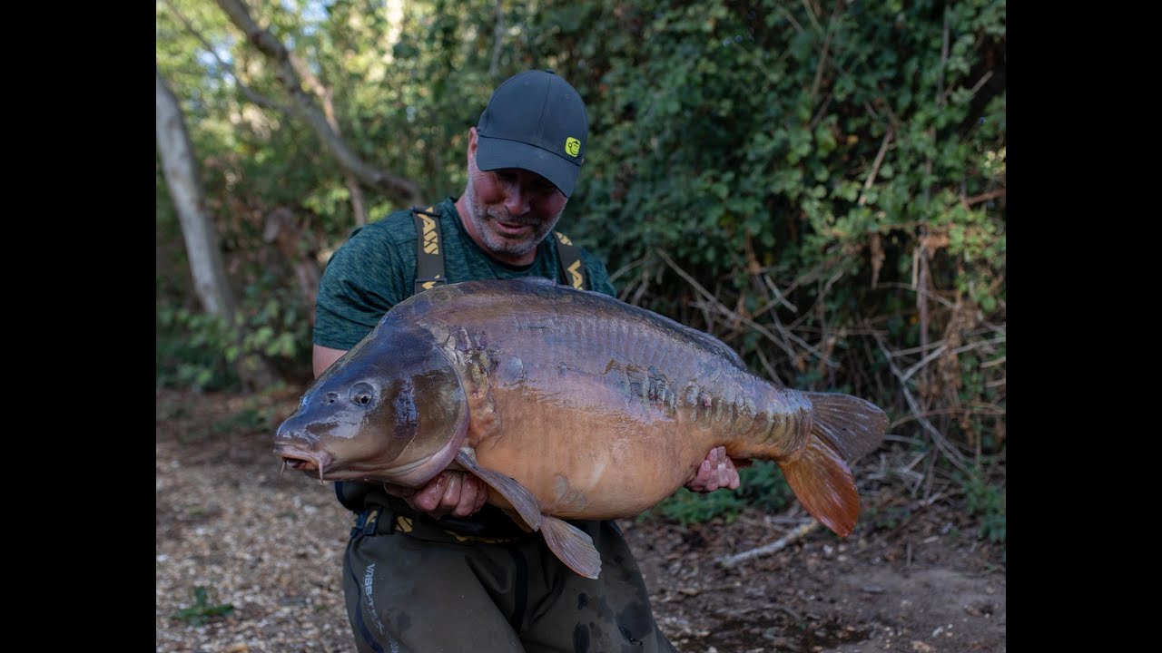 Dave Levy - All things Carp... Part 1..!