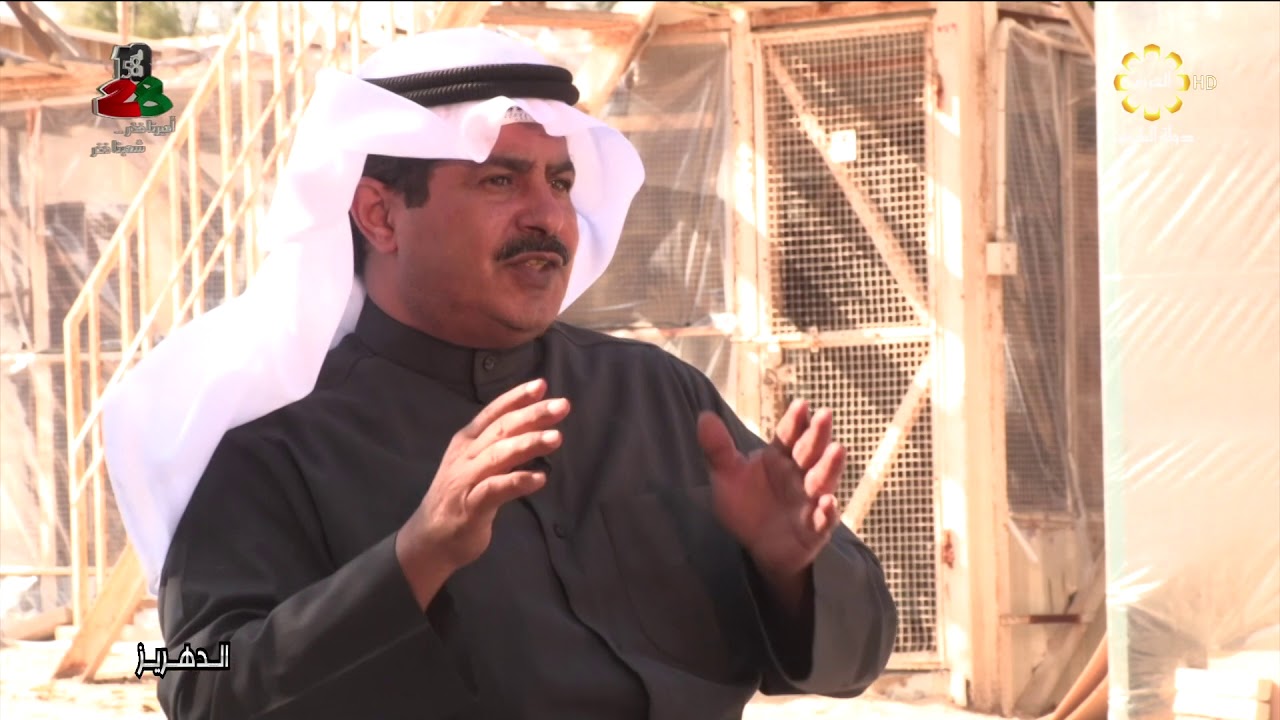 برنامج الدهريز - الحمام الزاجل - 03