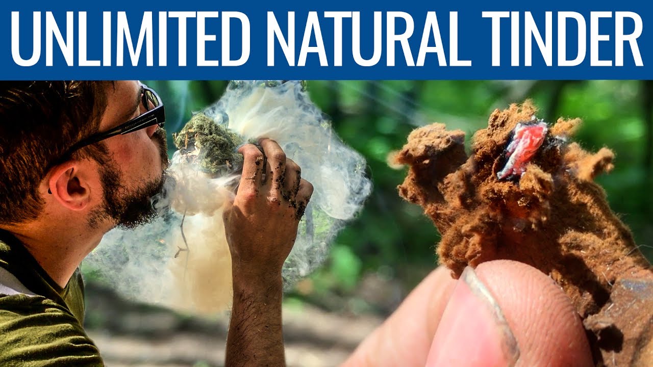 Making Amadou Natural Tinder from Horse Hoof Fungus - Bushcraft Flint and Steel Fire Starting