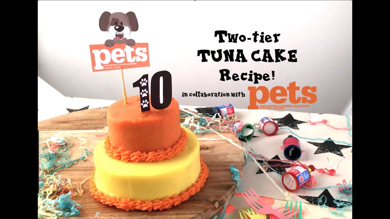 TUNA BIRTHDAY CAKE RECIPE FOR DOGS!