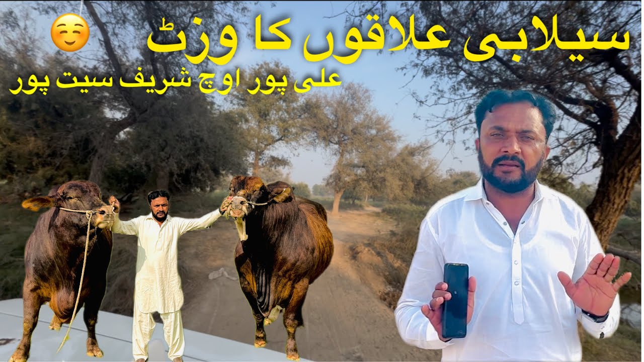 Sailaabi Ilaako Ka Visit☺️||Alipur-Uch Sharif-Seetpur||King of Multan Mandi Mahar Hashim❤️