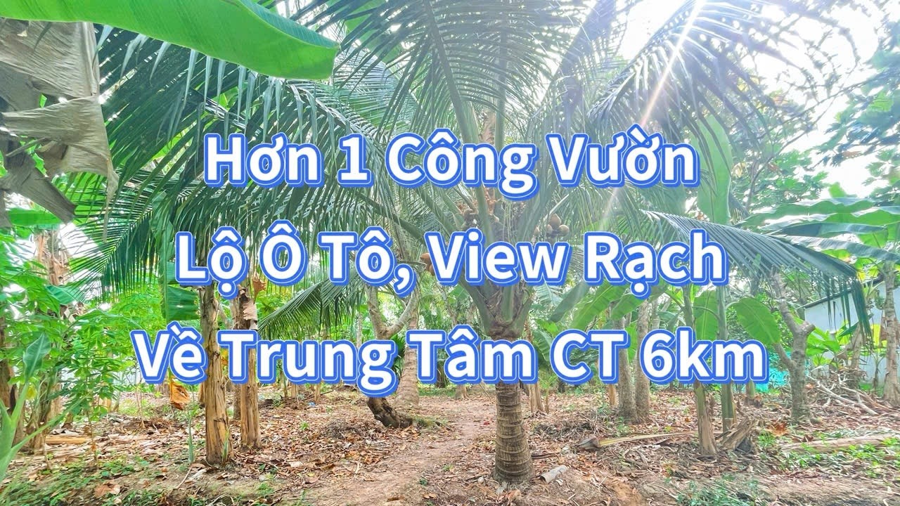 Hơn 1 Công Đất | Gần Đường Bùi Hữu Nghĩa Cách Trung Tâm Cần Thơ 6km
