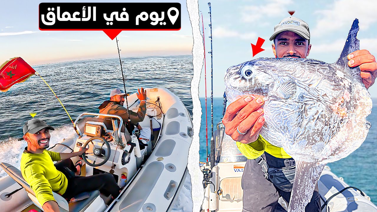 العيش الحر:رحلة في أعماق البحار صادفت اغرب سمكة في البحر