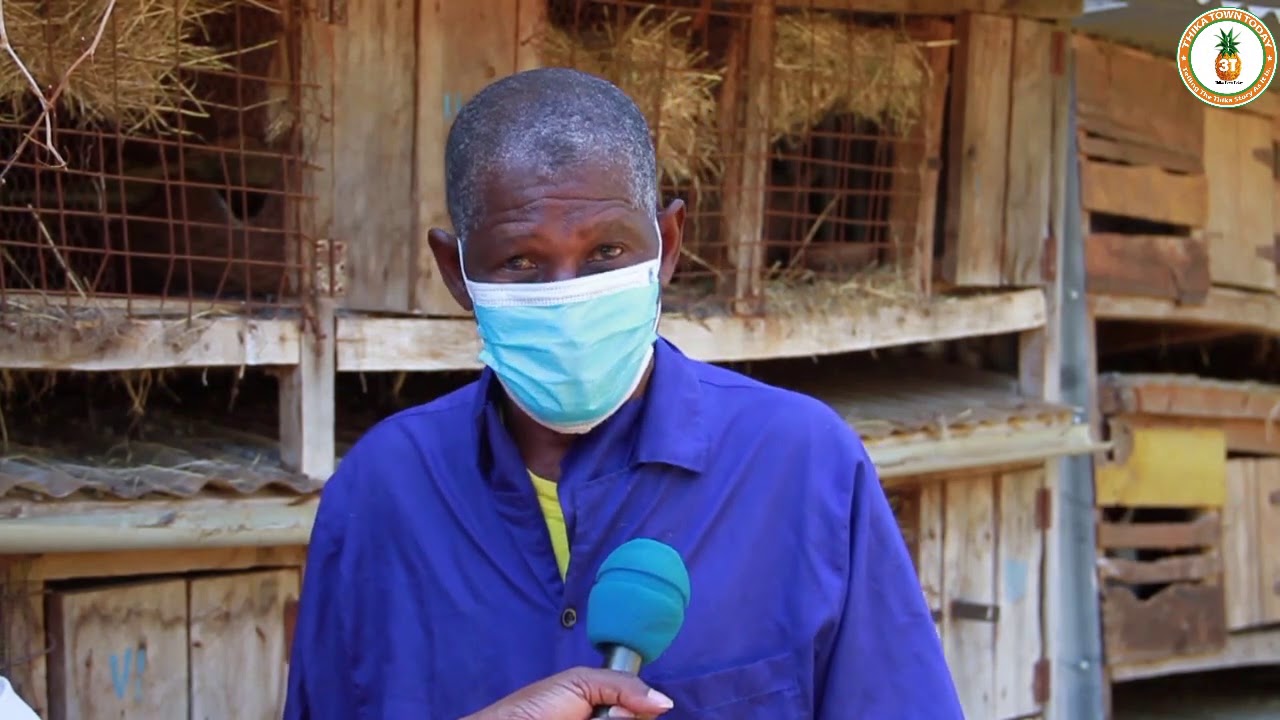 A site tour to rabbit farming - an unexploited ‘Goldmine’ that is greatly overlooked