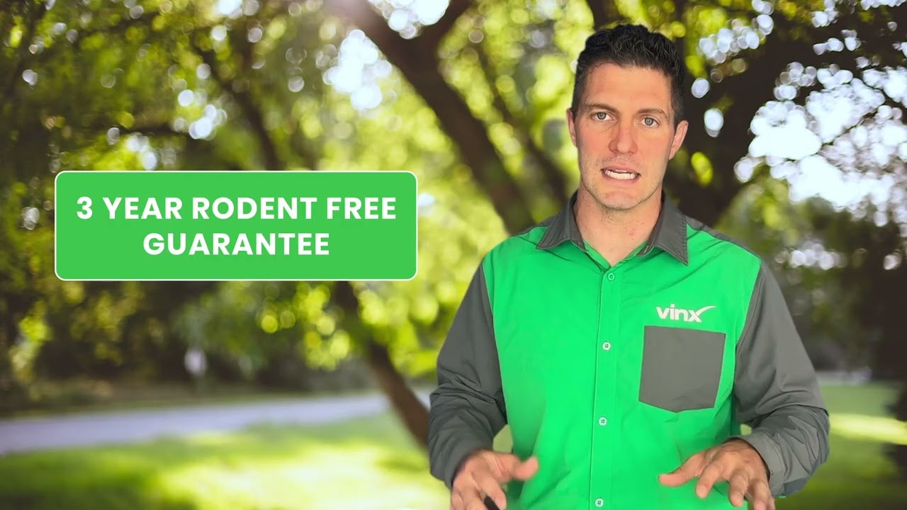 Rodent Removal: Vinx Pest Control