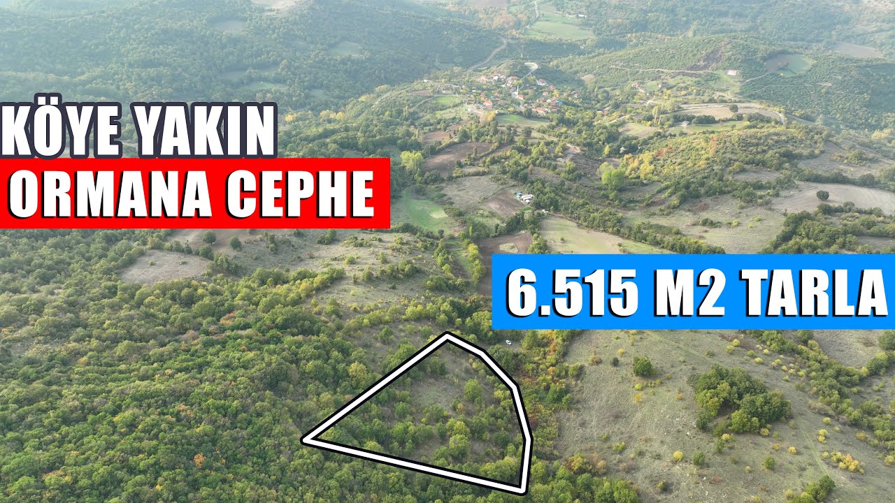 2040- İlçe Merkezine 7 Km Mesafede 6.515 m2 Ormana Cephe Tarla