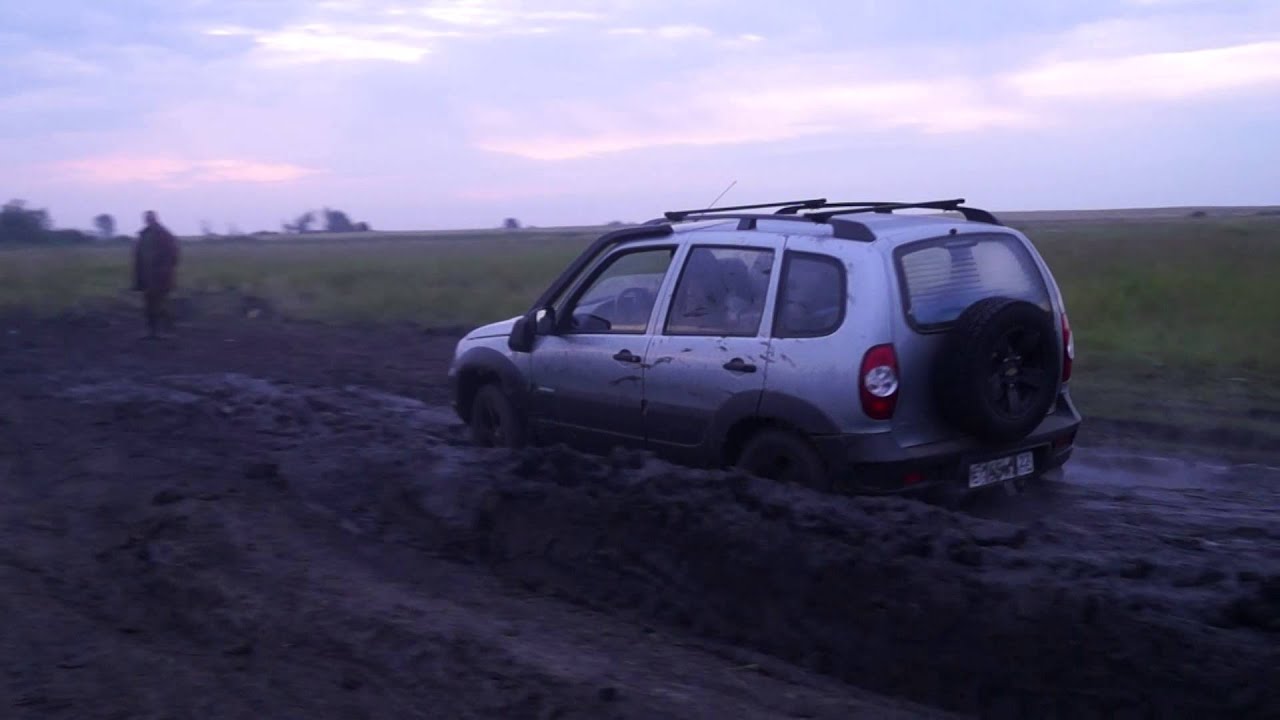 Шнива,Эскудо и другие.....