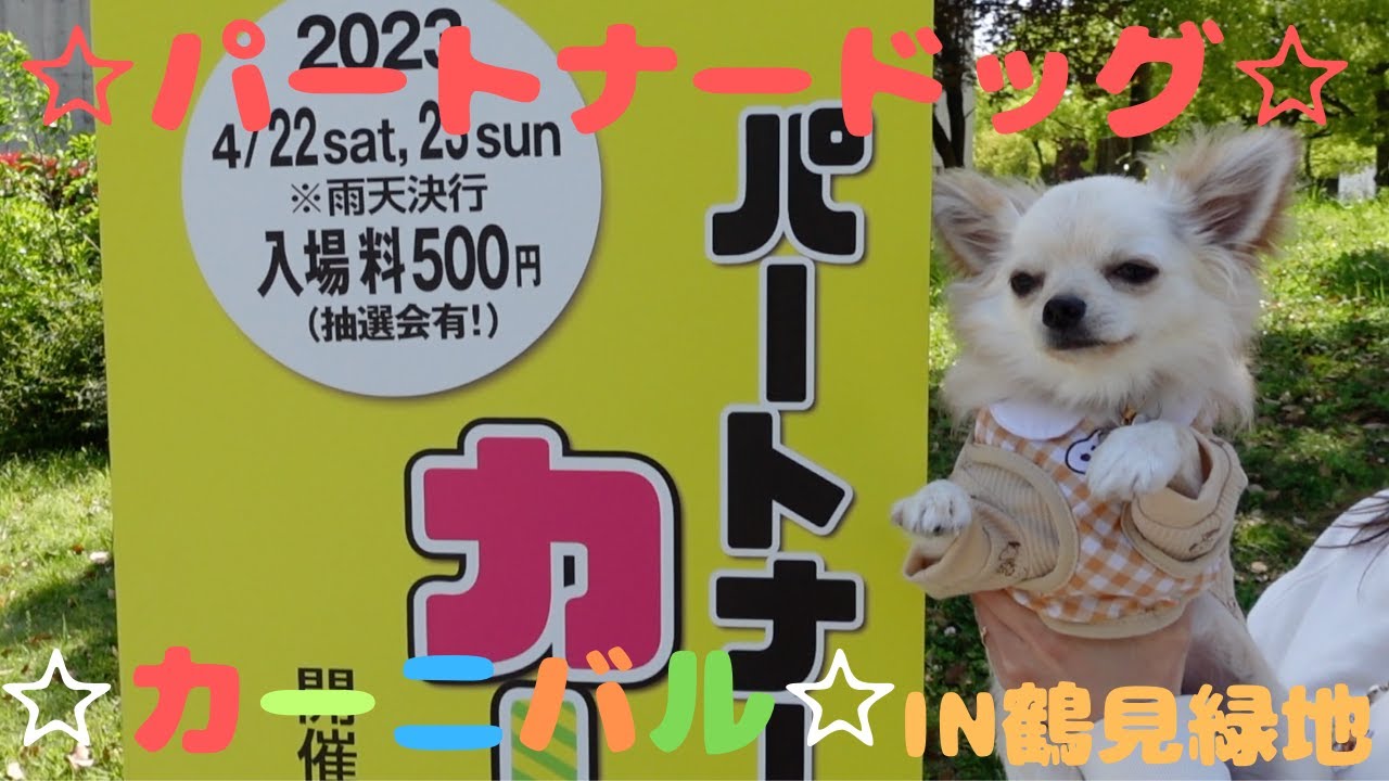 【チワワのふく君🐶】ふく君イベントに参加☆ パートナードッグカーニバルin鶴見緑地