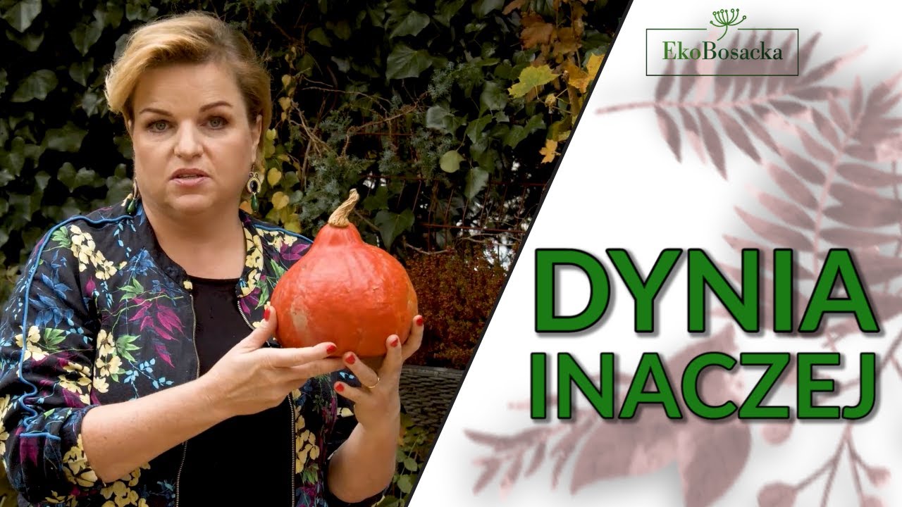 Dynia inaczej - EkoBosacka odc. 116