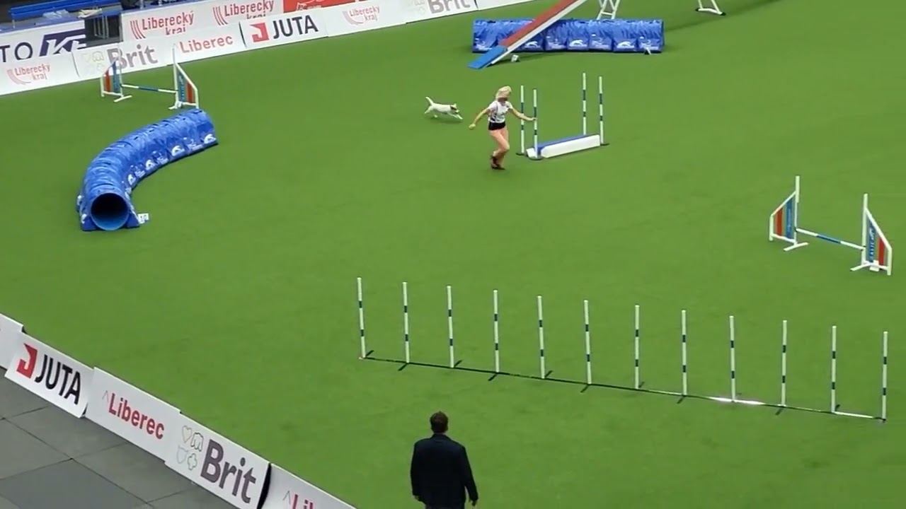 ESTONIA Agility Team Small, FCI AWC 2023