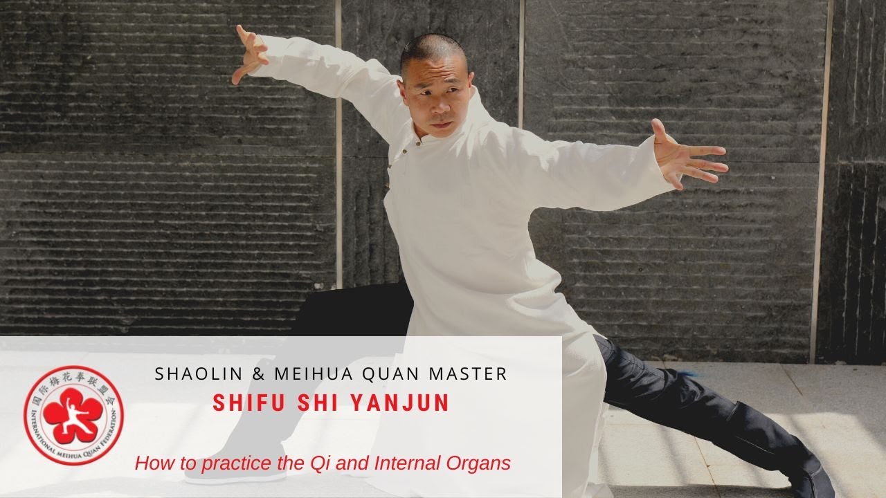 How to practice the Qi and Internal Organs Coordination | Shifu Shi Yanjun
