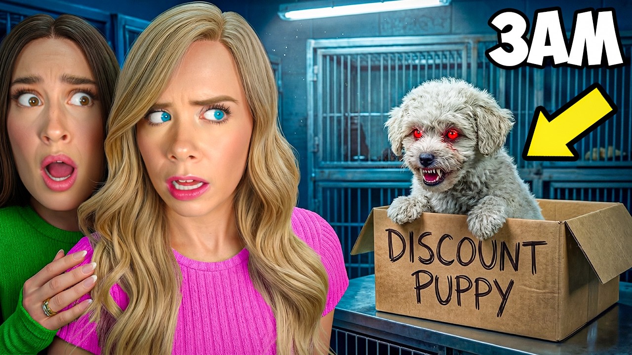 DO NOT ADOPT A DOG AT 3 AM...