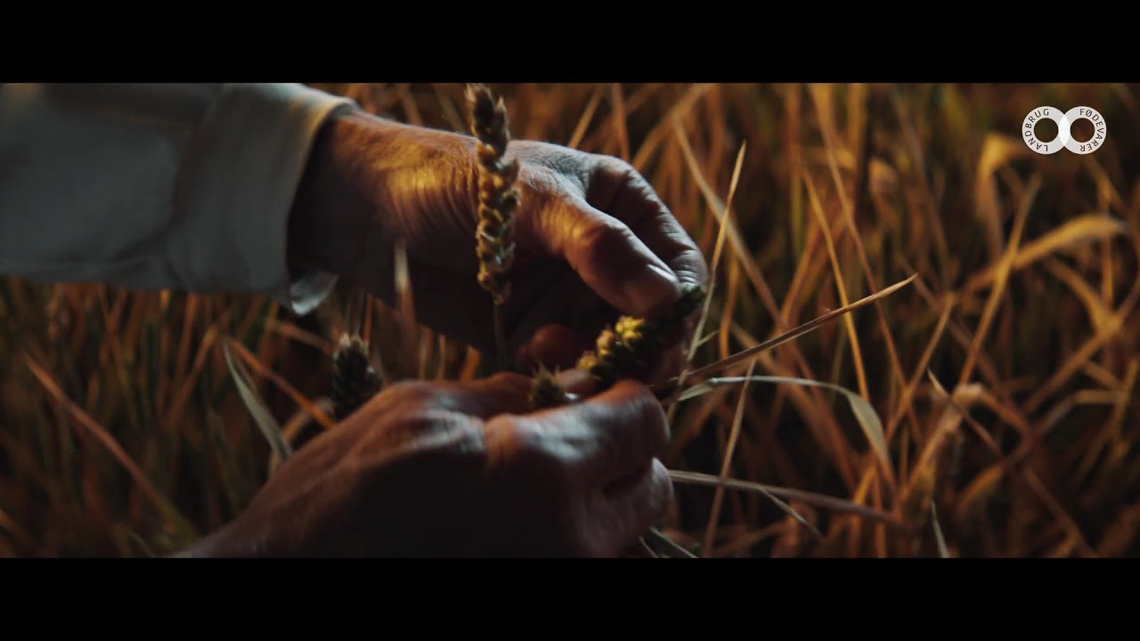 Landbrug & F&oslash;devarer | Dansk landbrug Klima-neutralt 2050