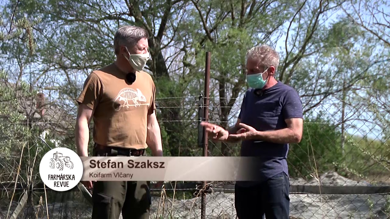 Chov r&yacute;b časť 2
