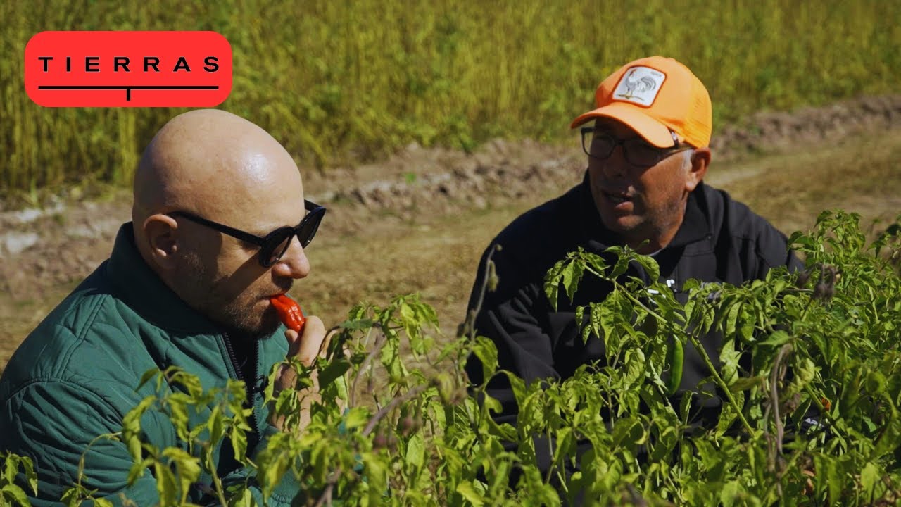 Episodio 06: SALTA - Proyecto Tierras - Temporada 2024 (28/06/2024)
