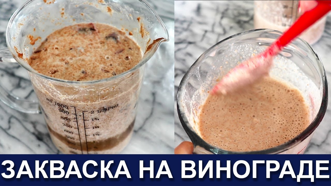 🥖🍞🥨 Закваска на винограде - Неубиваемая и стойкая Неприхотливая и сильная Как вывести закваску Хлеб