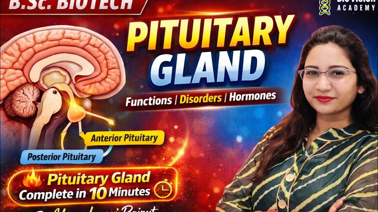Pituitary Gland Explained in 10 Minutes | Anterior & Posterior Pituitary | BSc Biotech