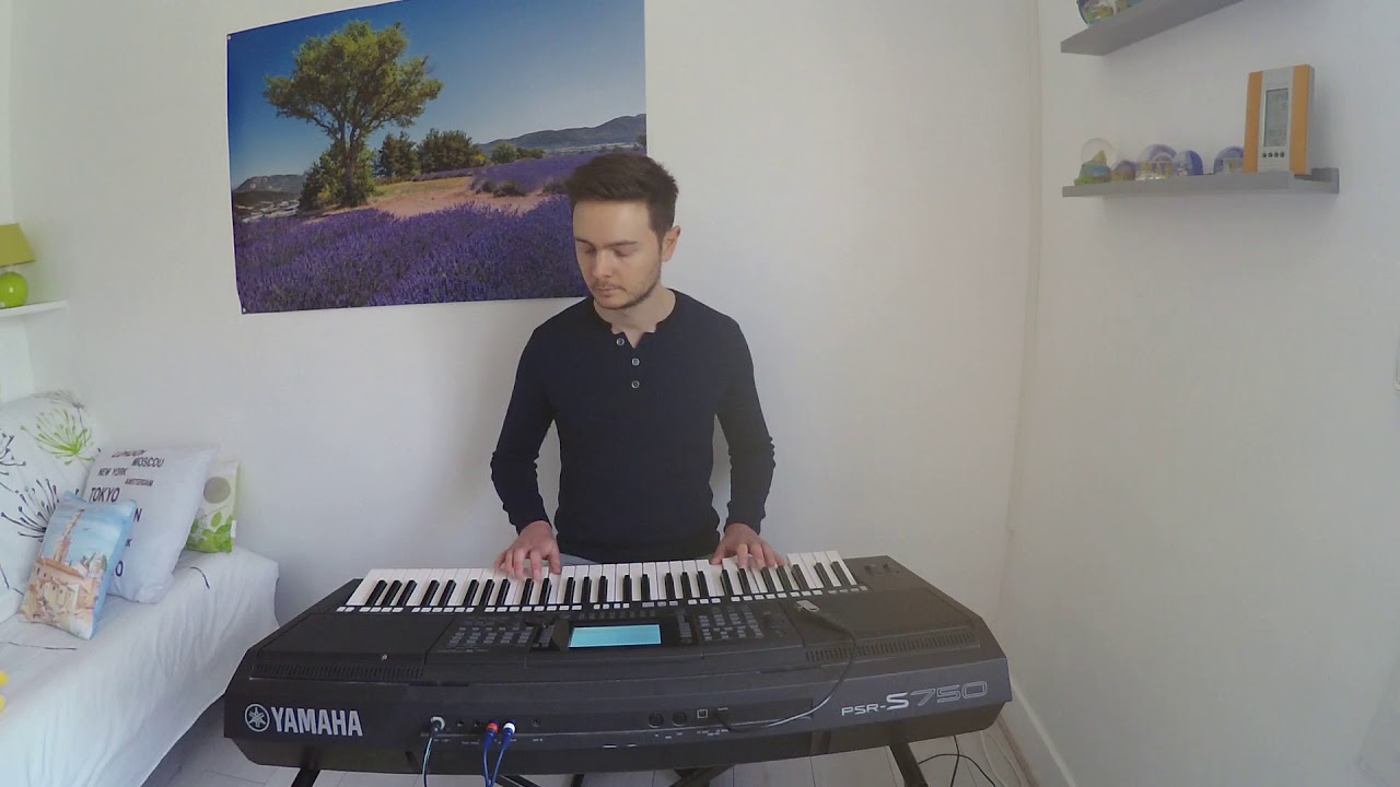 O Malhao Malhao - Linda de Suza - Yamaha PSR S750 (HD)