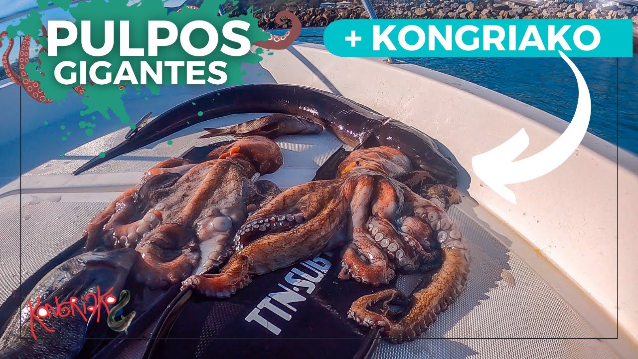 ✅PESCA SUBMARINA 🐙PULPOS GIGANTES y CONGRIO🐍 [NO TE LO PIERDAS]