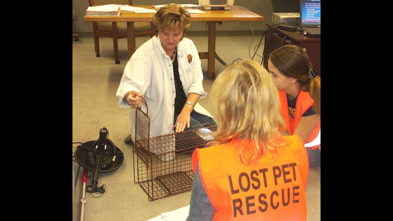 Unit#5 1 Using Camera Traps for Cats