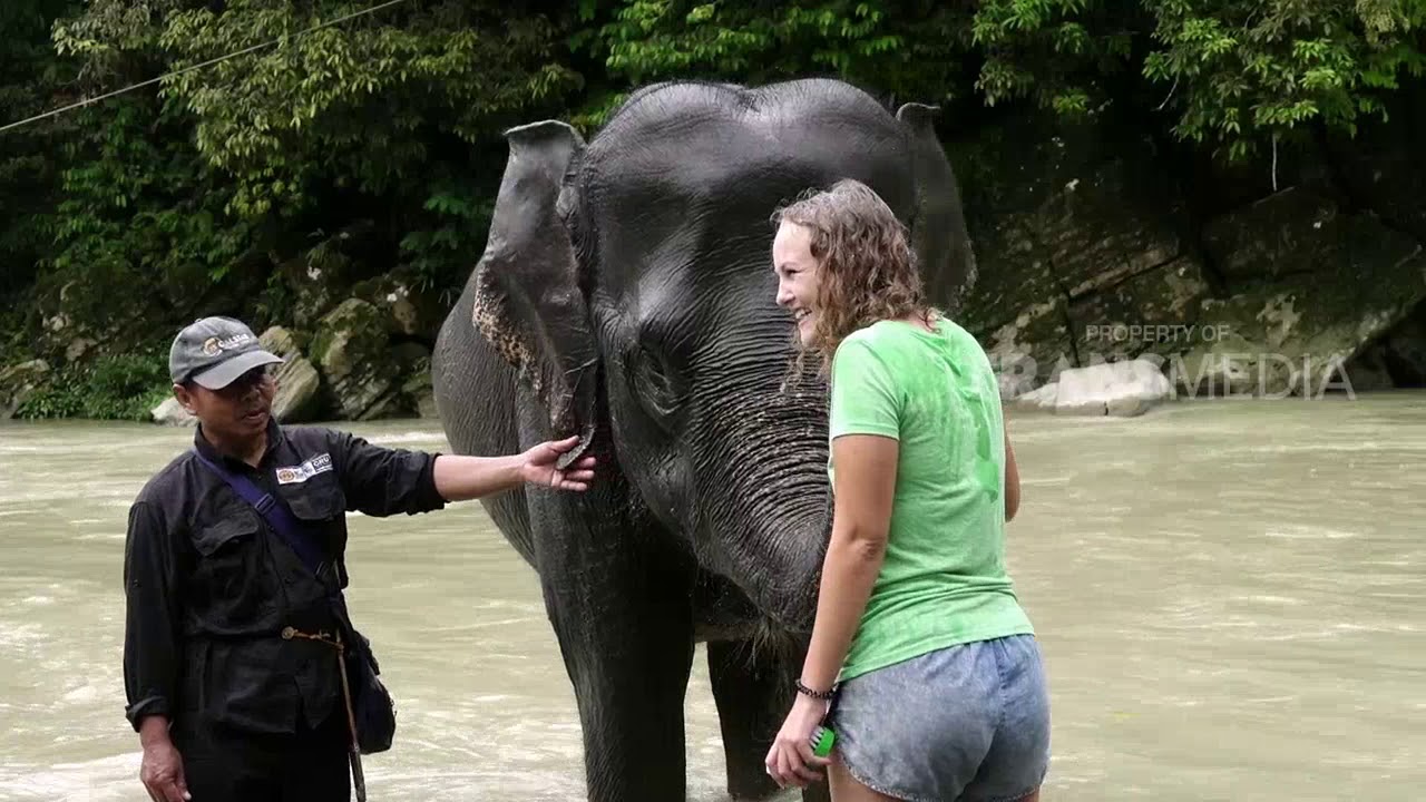 SI OTAN | KISAH SI GAJAH (26/12/18) PART 2