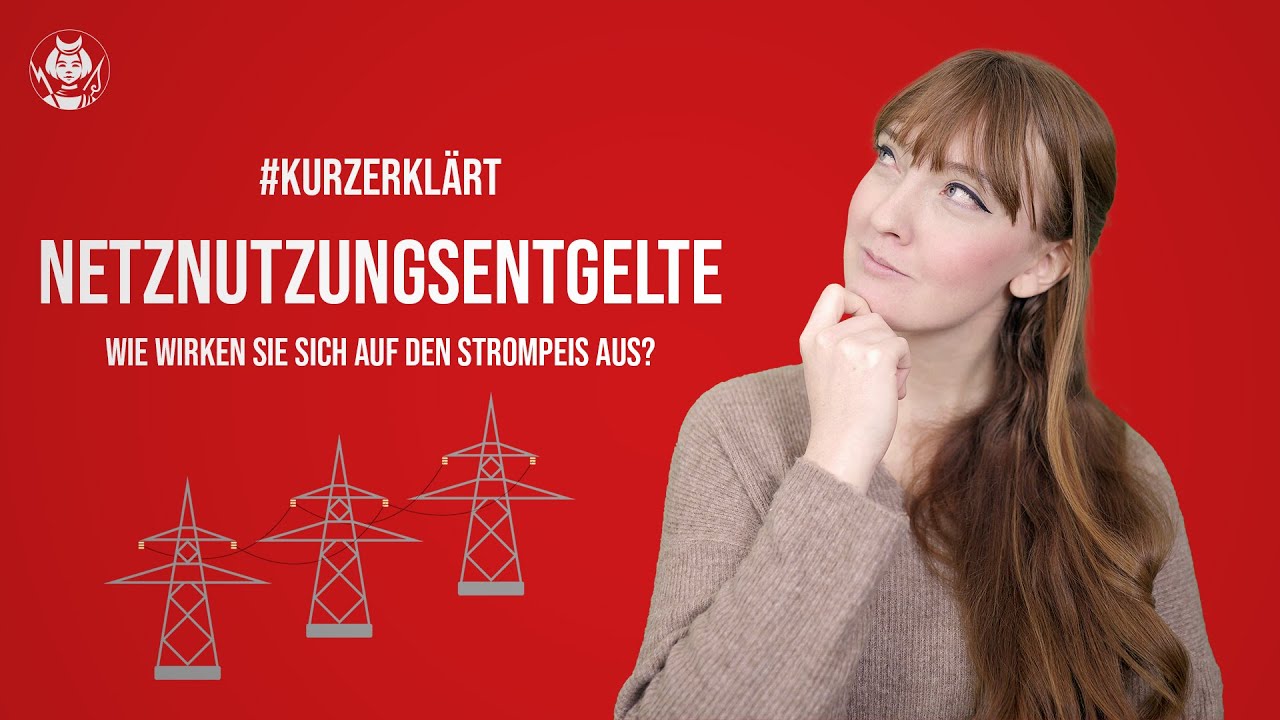 Netznutzungsentgelte – Wie wirken sie sich auf den Strompreis aus? #kurzerklärt