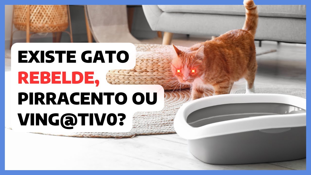 Esse vídeo MUDARÁ a sua VISÃO sobre o 