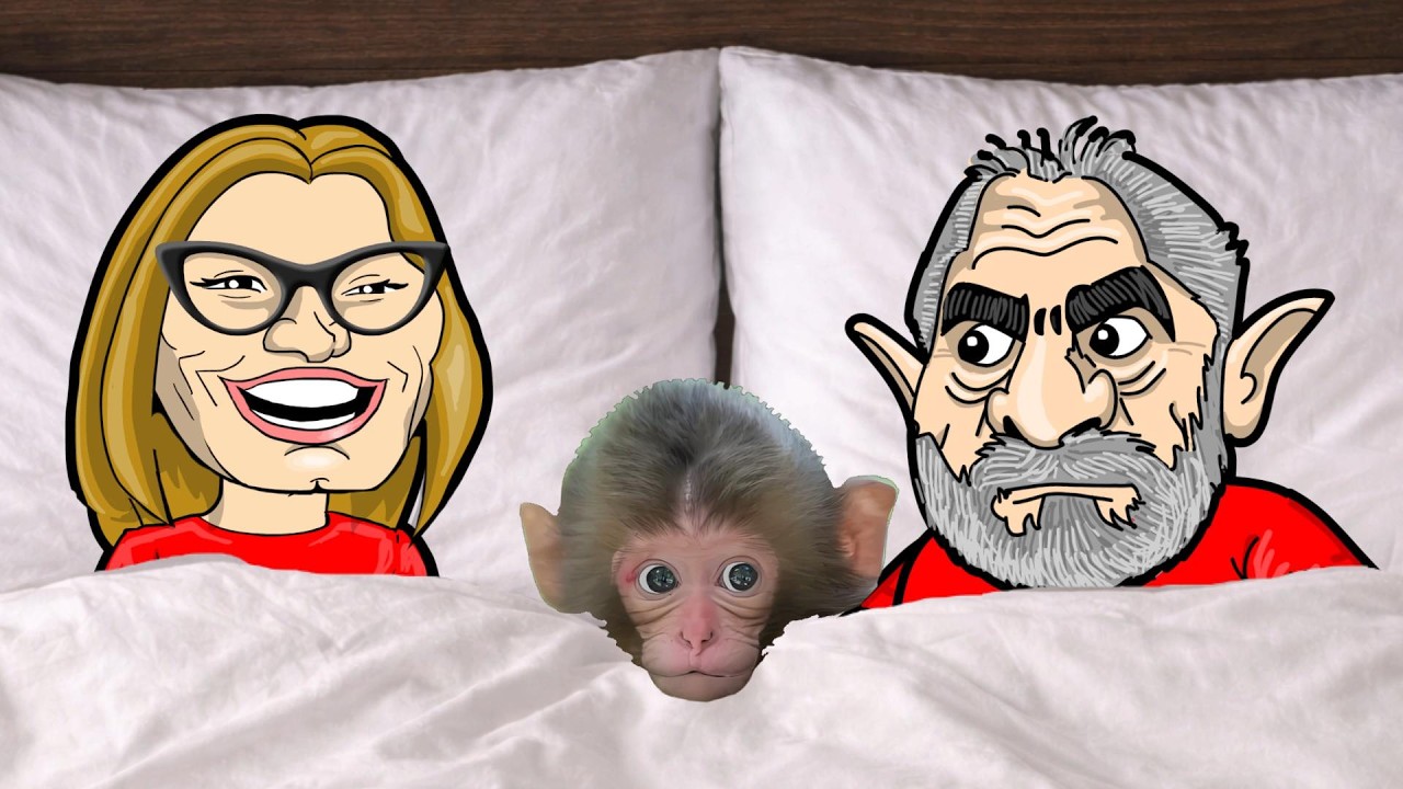 LULE e JANJA ADOTAM o MACACO PUNCH