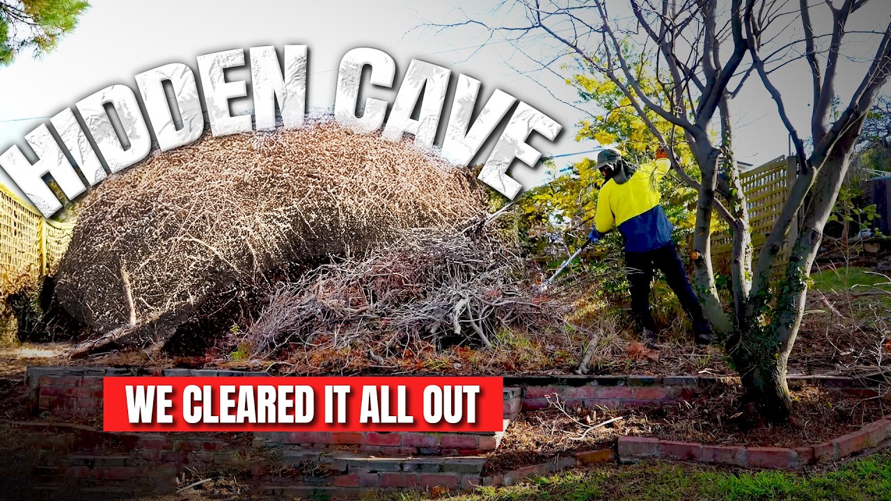 The Most SATISFYING Yard Cleanup You Have Seen This YEAR! (Part 9)