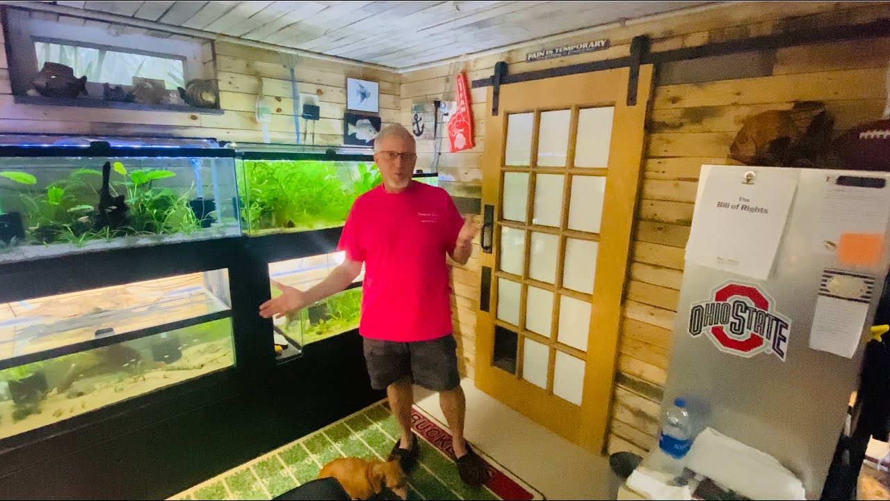 Awesome Fish room Tour with the Corydora Man Himself Kelly Burghardt