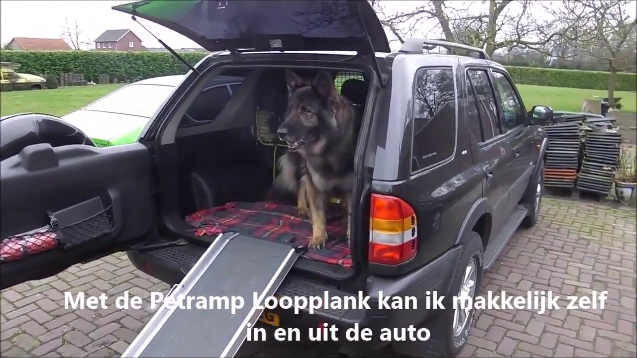 Loopplank Hond Petramp de Luxe www.dierapotheker.nl