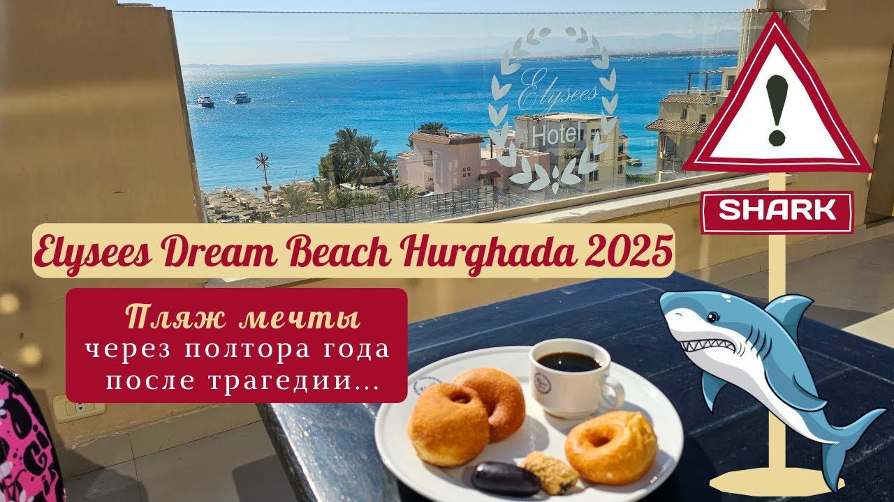 Обзор Elysees Dream Beach Hurghada 2025 после нападения акулы.