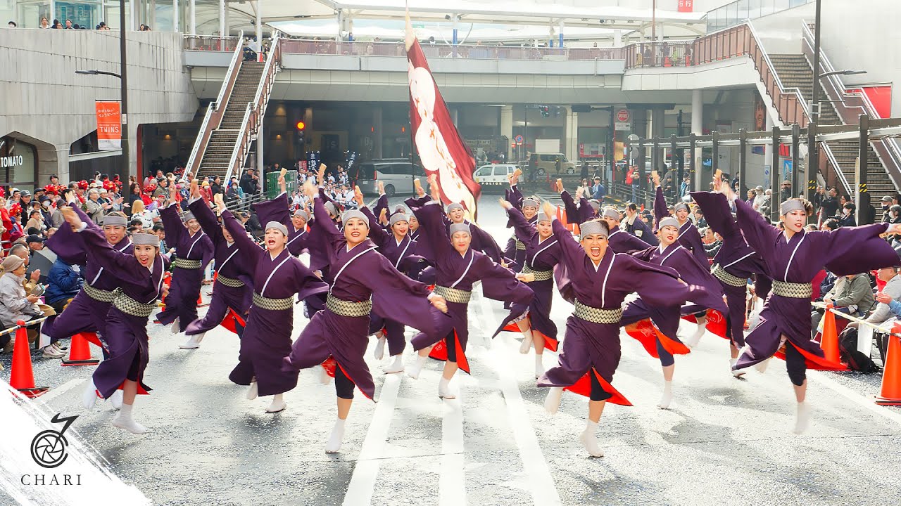 【8K】東京よさこい なな丸隊『花心紺碧』（町田夢舞生ッスイ祭 2025）