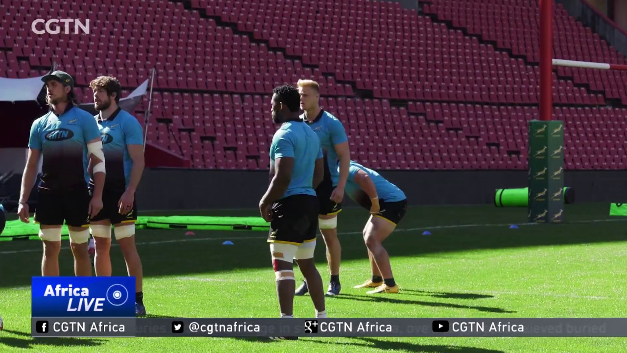 South Africa Rugby: Young stars hopeful for future with Boks after impressive results