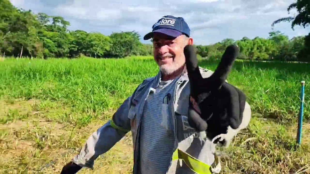 31 de dezembro de 2025