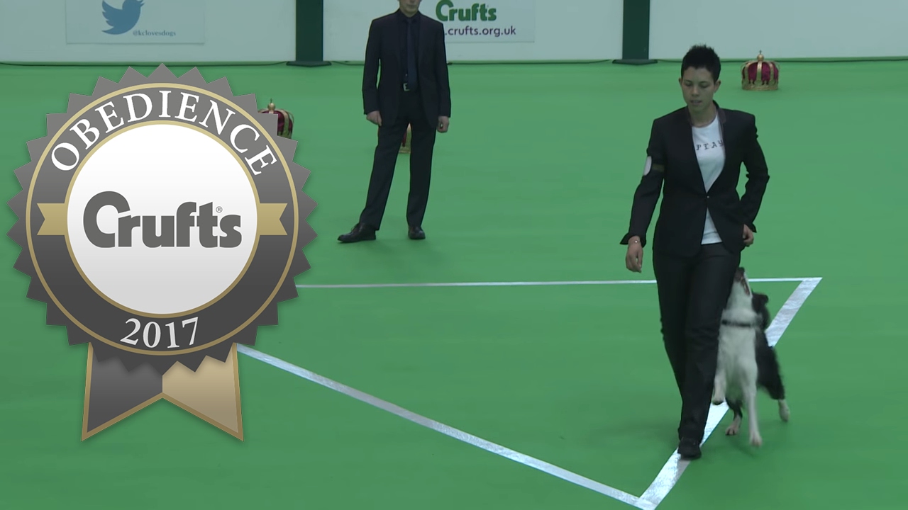 Obedience Championship - Bitches - Part 9 | Crufts 2017