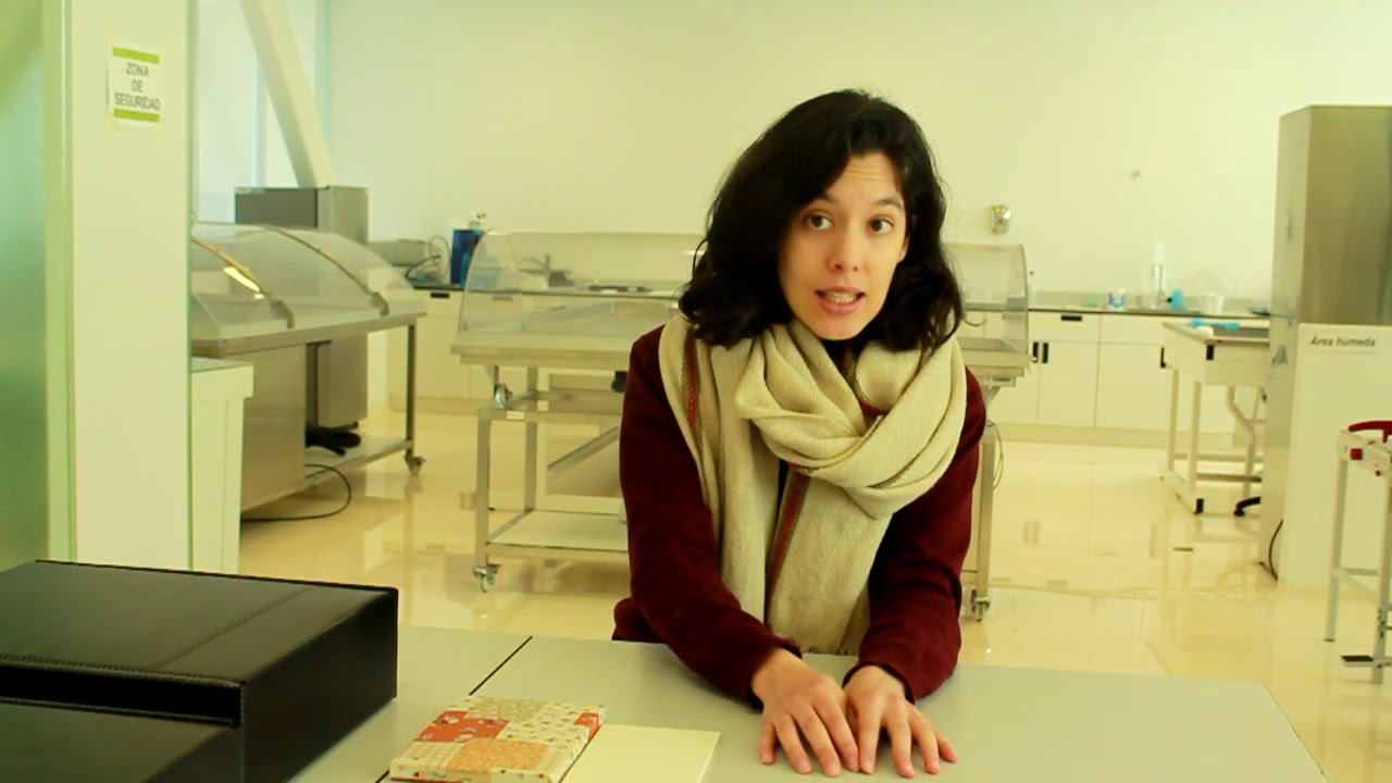 Conservación, restauración y preservación de documentos históricos