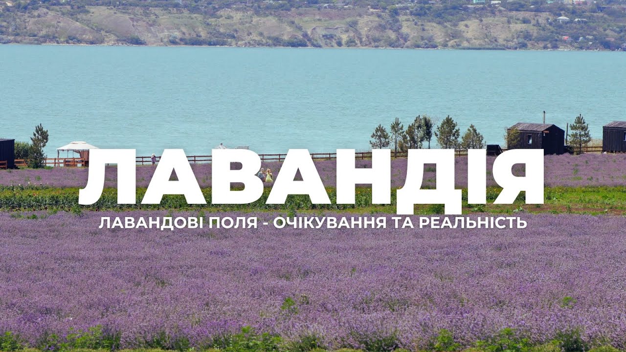 Лавандія | Лавандові поля - очікування та реальність | Глемпінг біля Одеси