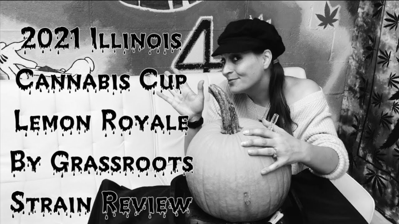 Lemon Royale by Grassroots Review for the 2021 High Times Illinois Cannabis Cup