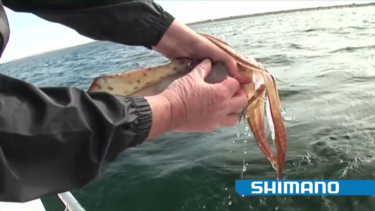 How to catch Squid 