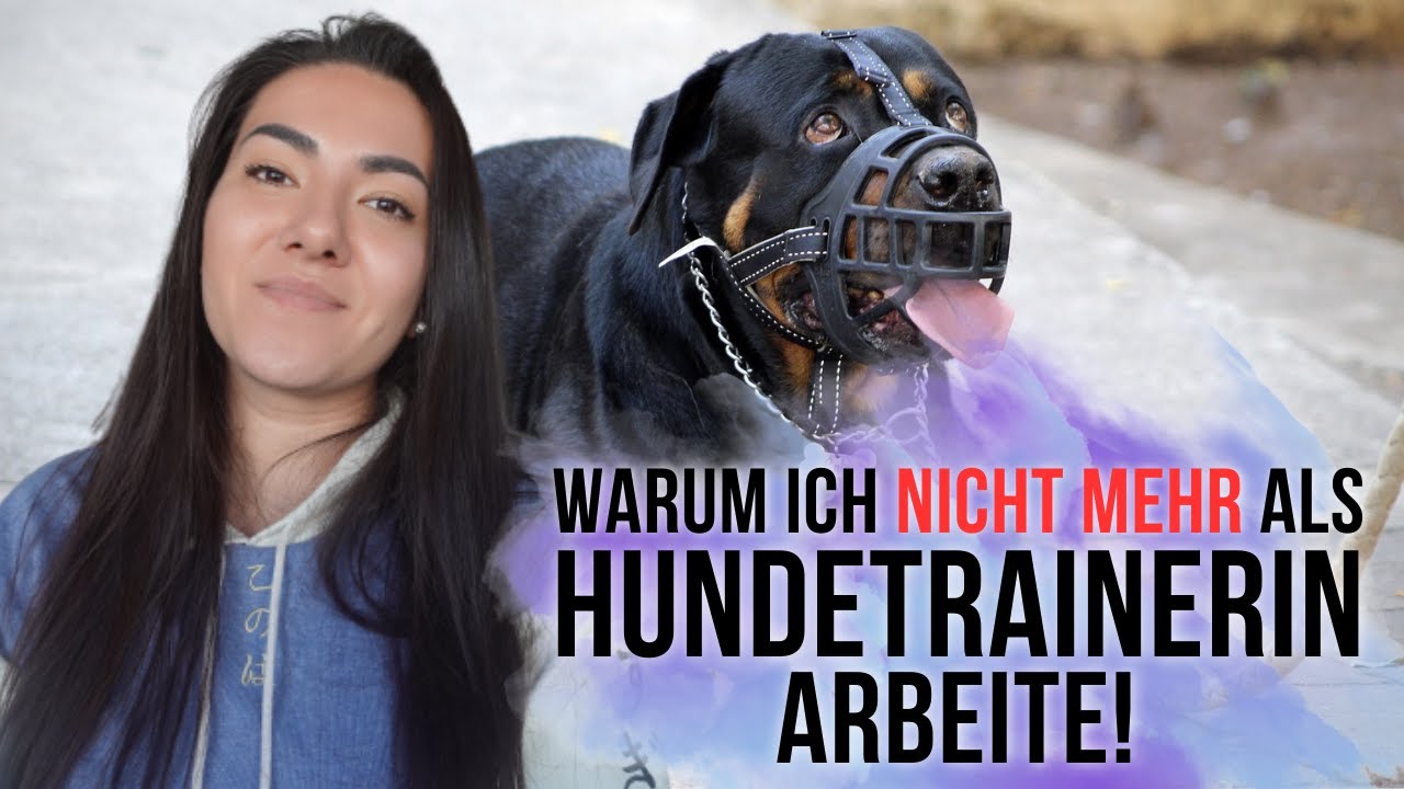 Warum ich nicht mehr als Hundetrainerin arbeite und Hundetraining falsch ist.