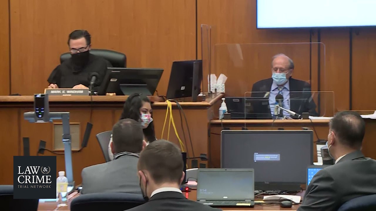 CA v. Robert Durst Murder Trial Day 36 - Motion For Mistrial - Dr. Keith Klein