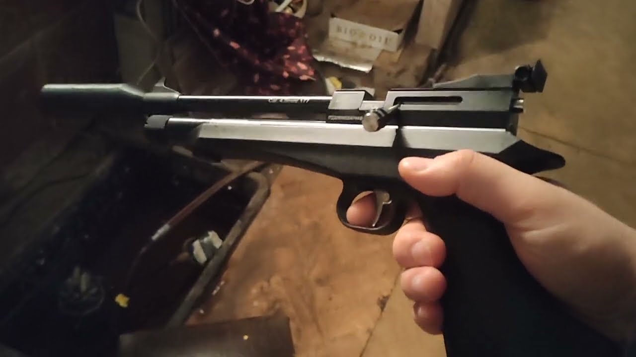 Diana Chaser CO2- steel duck shooting- 9 m