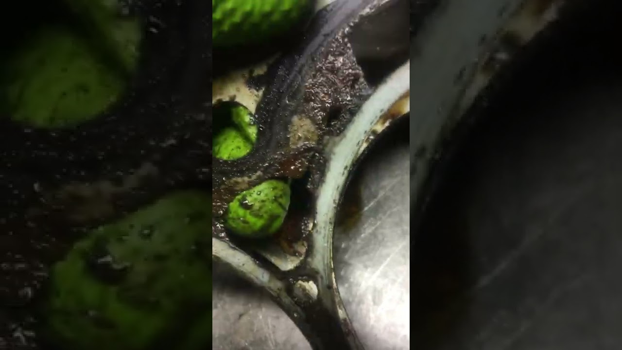 2017 Ford Escape 2.0L ecoboost head gasket