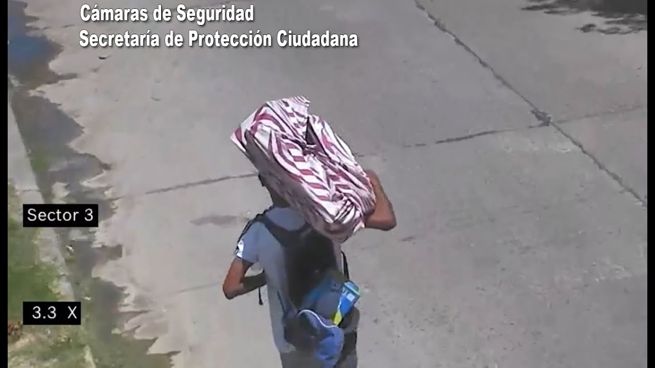 Robó un televisor de una propiedad privada y fue detenido por el COT