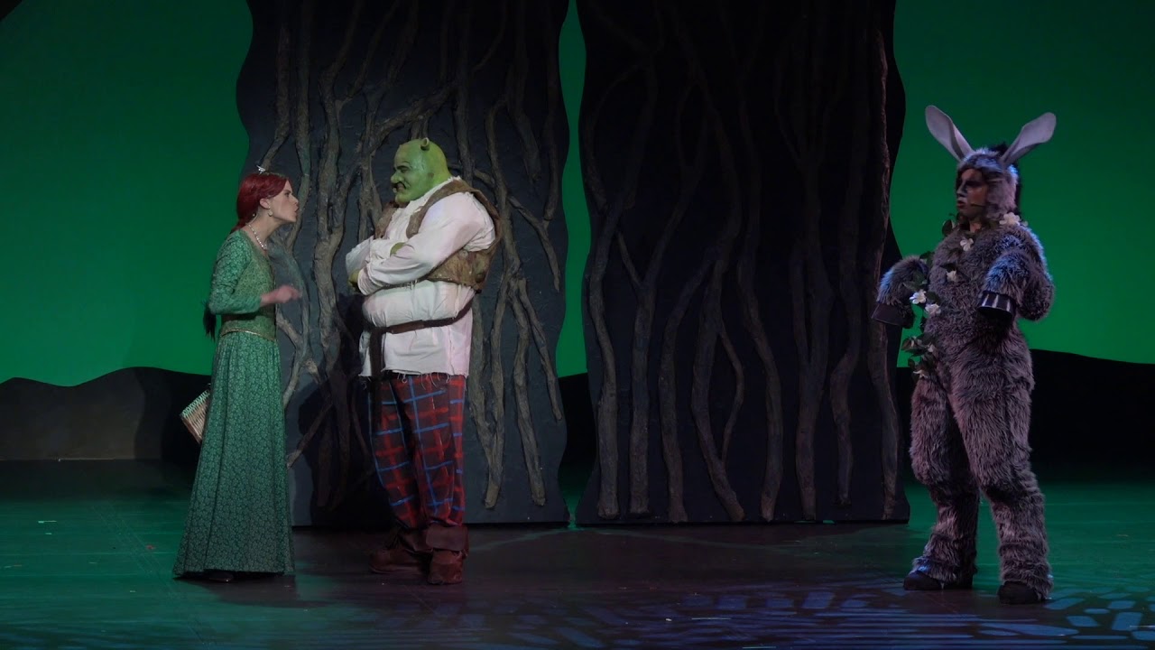 Musical Colegio Puerto Varas: Shrek. Acto 2