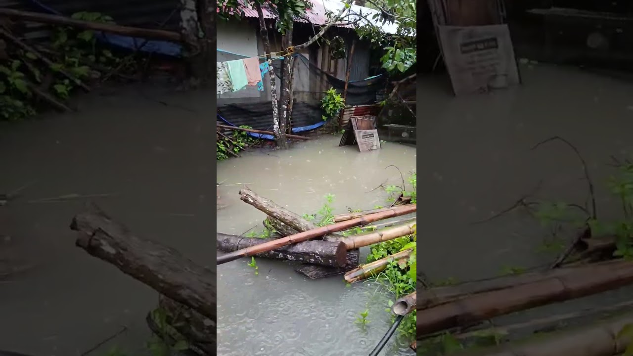 During heavy rain #weather #heavyrain #rain 
