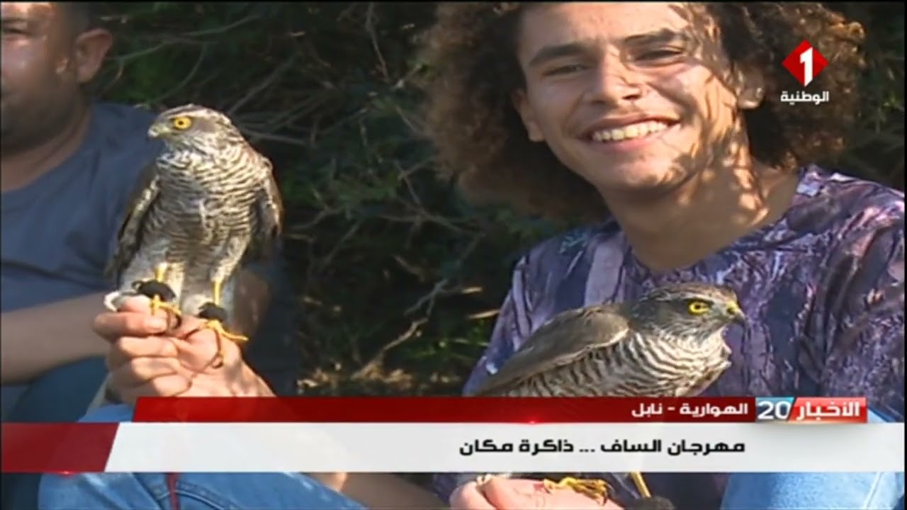 الهوارية - نابل : مهرجان الساف .. ذاكرة مكان