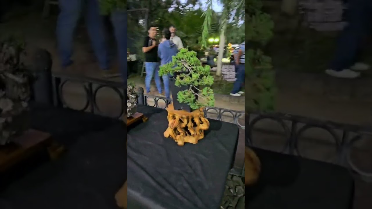 1ra Muestra de Bonsai Uruguay - Canelones