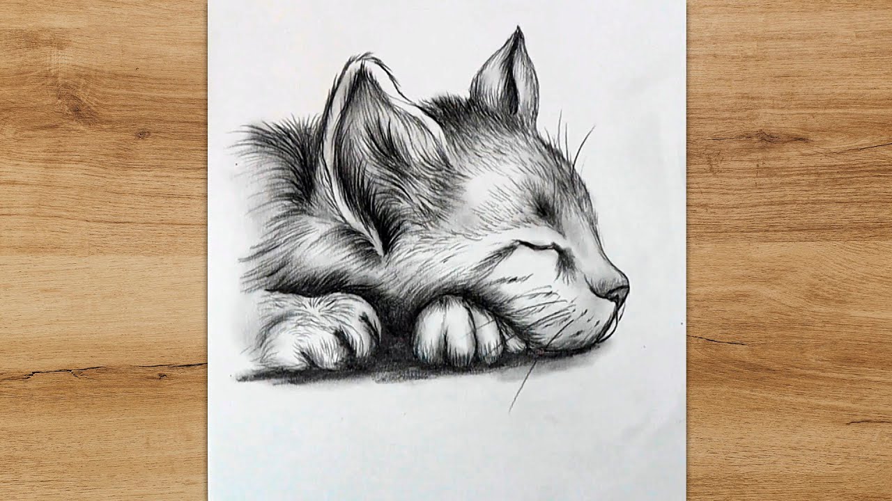 How to Draw a Sleeping Cat | Cat Sketch Step by Step